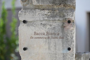Bacca Bianca-Trulli Antì Charme & Relax Alberobello